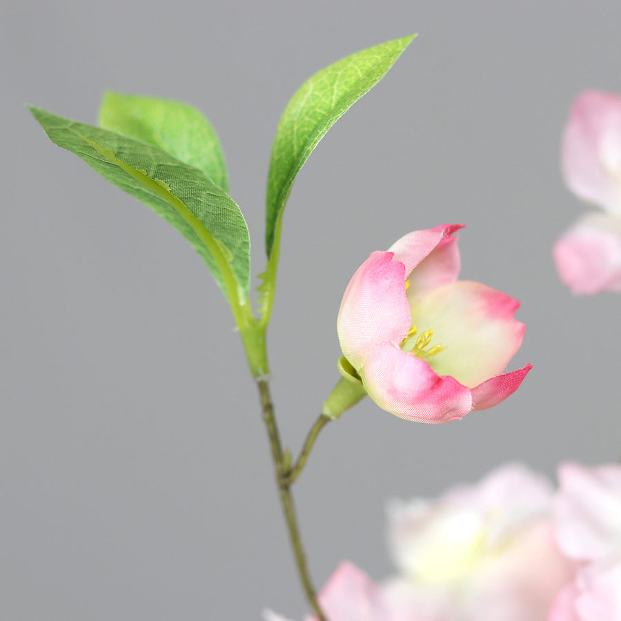 Virágzó mű cseresznyefa ág, halvány rózsaszín színű nyílt és bimbós virágokkal.