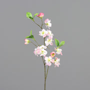 Virágzó mű cseresznyefa ág, halvány rózsaszín színű nyílt és bimbós virágokkal.