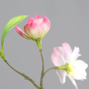 Virágzó mű cseresznyefa ág, halvány rózsaszín színű nyílt és bimbós virágokkal.