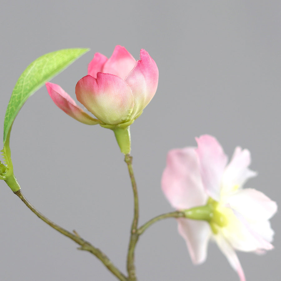 Virágzó mű cseresznyefa ág, halvány rózsaszín színű nyílt és bimbós virágokkal.