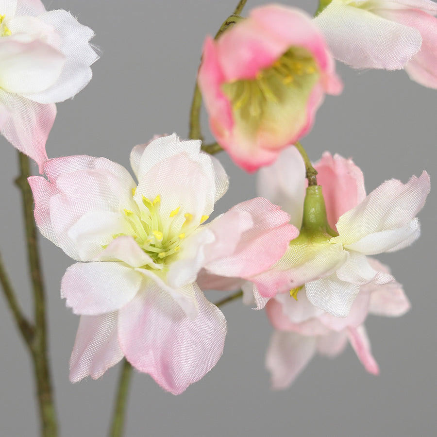 Virágzó mű cseresznyefa ág, halvány rózsaszín színű nyílt és bimbós virágokkal.