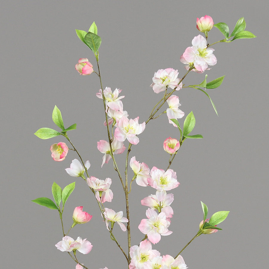 Virágzó mű cseresznyefa ág, halvány rózsaszín színű nyílt és bimbós virágokkal .