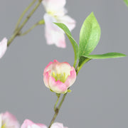 Virágzó mű cseresznyefa ág, halvány rózsaszín színű nyílt és bimbós virágokkal .