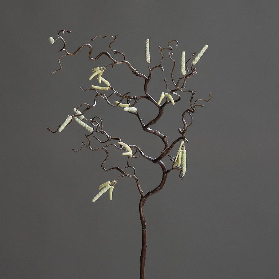 Virágzó mű mogyoró ág.