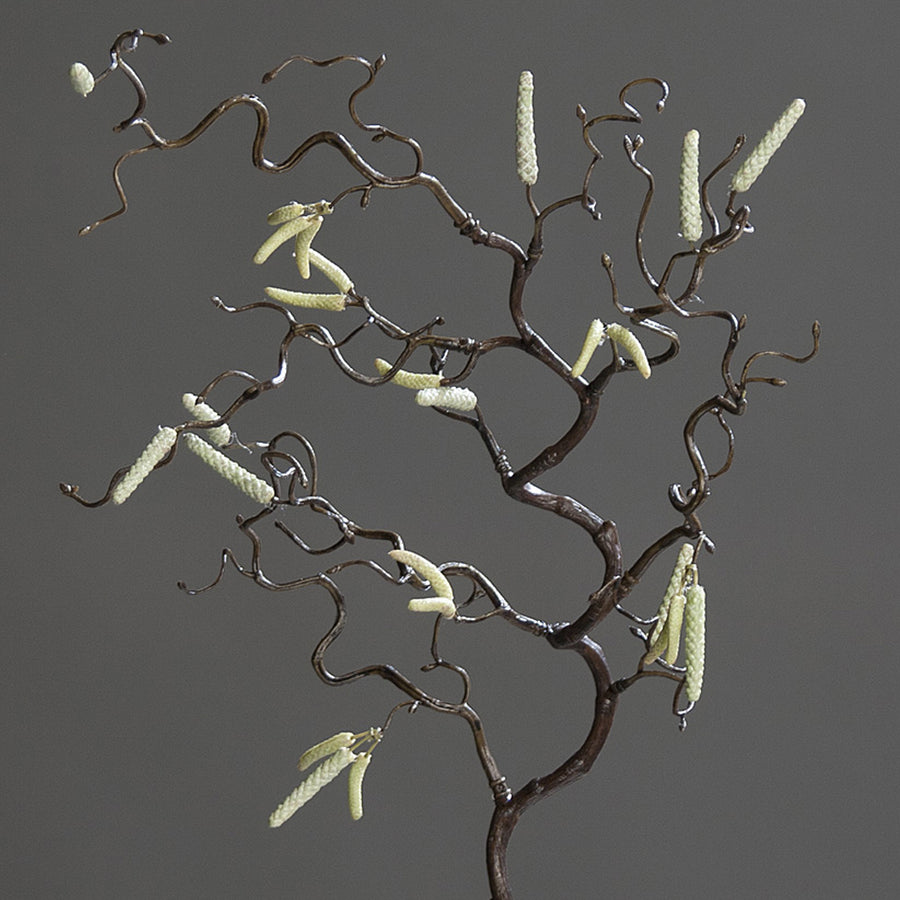 Virágzó mű mogyoró ág.