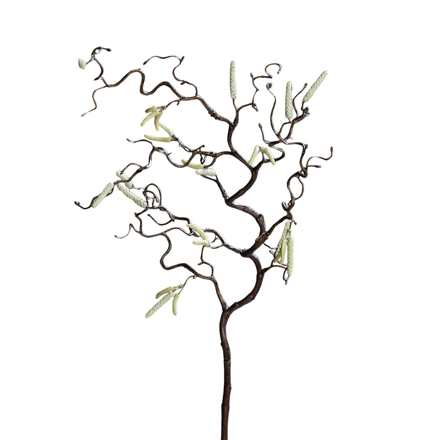 Virágzó mű mogyoró ág.