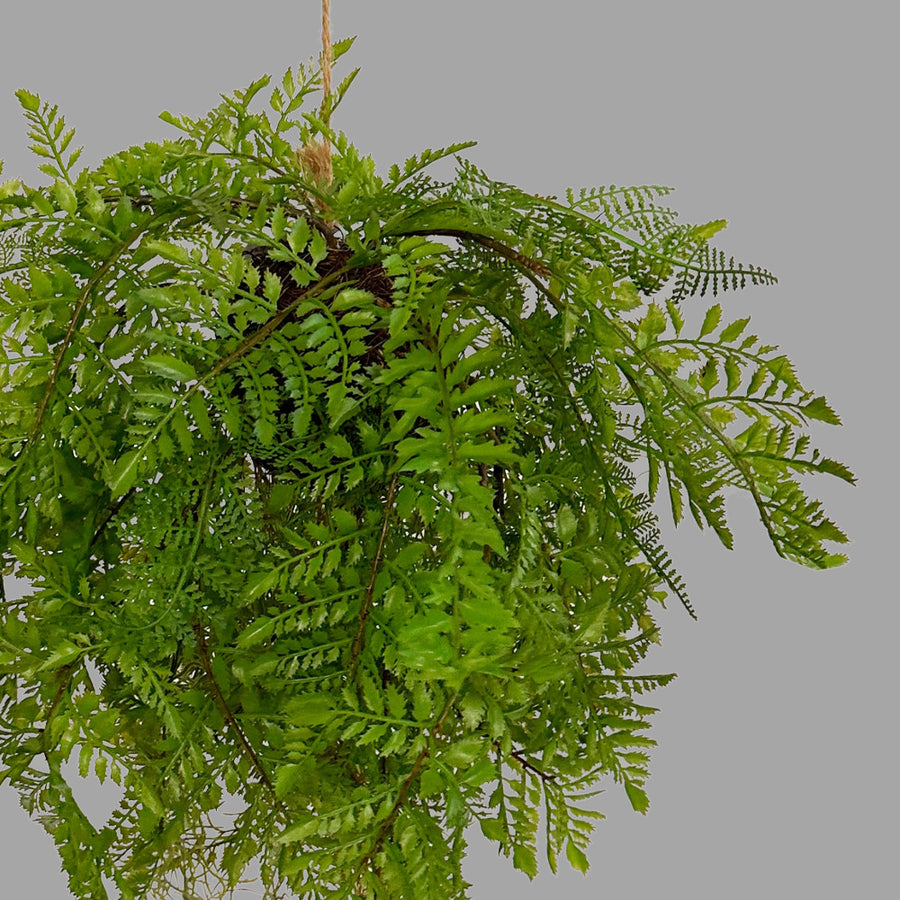 Függeszthető kialakítású, páfránylabda műnövény.