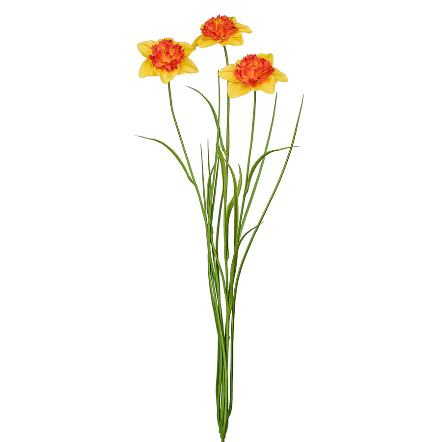 Narancssárga színű, vad nárcisz művirág.