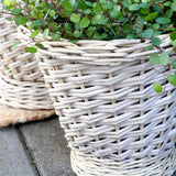 Fűzfa kaspó zöld növénnyel közelről fotózva.