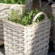 Természetes hatású skandináv kaspó szett növényekkel