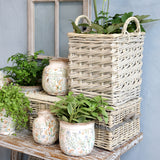 Természetes hatású skandináv kaspó szett növényekkel