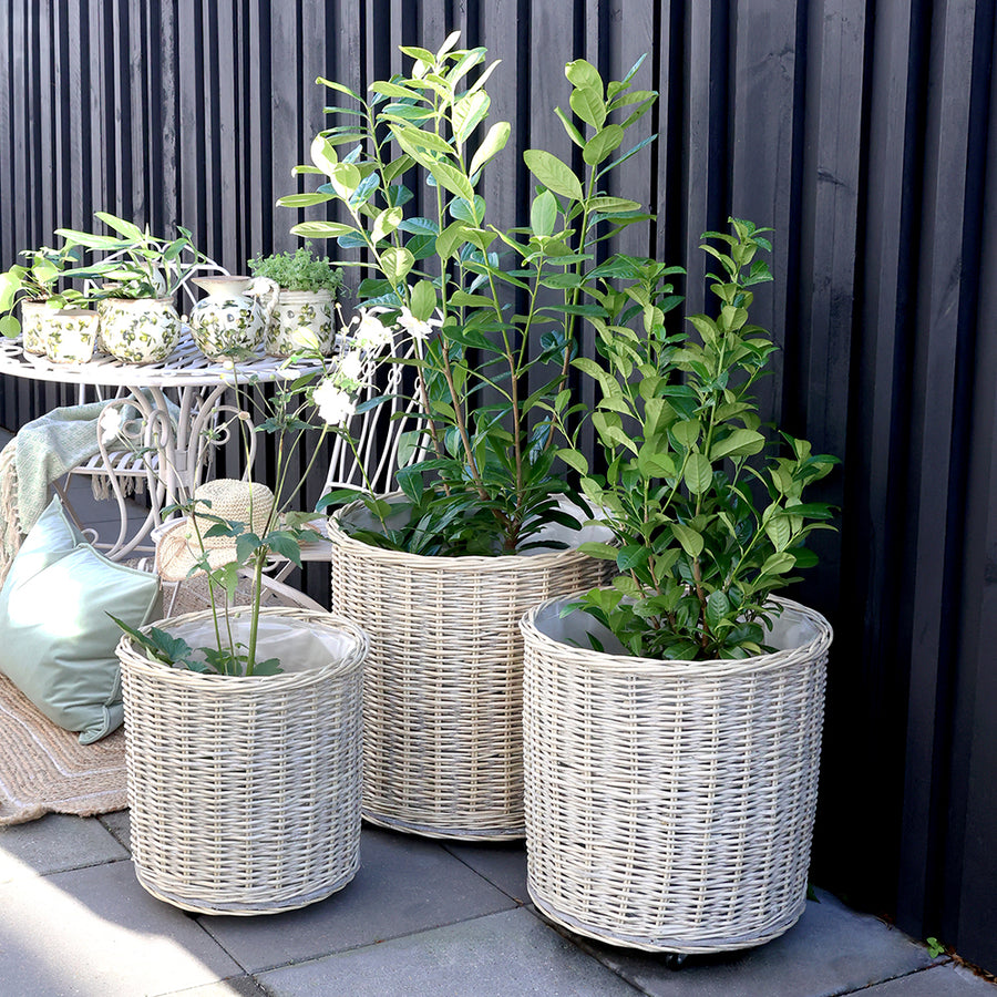 Kerekes fűzfa kaspók szobanövényekkel berendezett teraszon