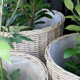 Natúr fűzfa kaspó műanyag béléssel – részletfotó