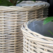 Fonott fűzfa kaspó részlet – természetes textúra