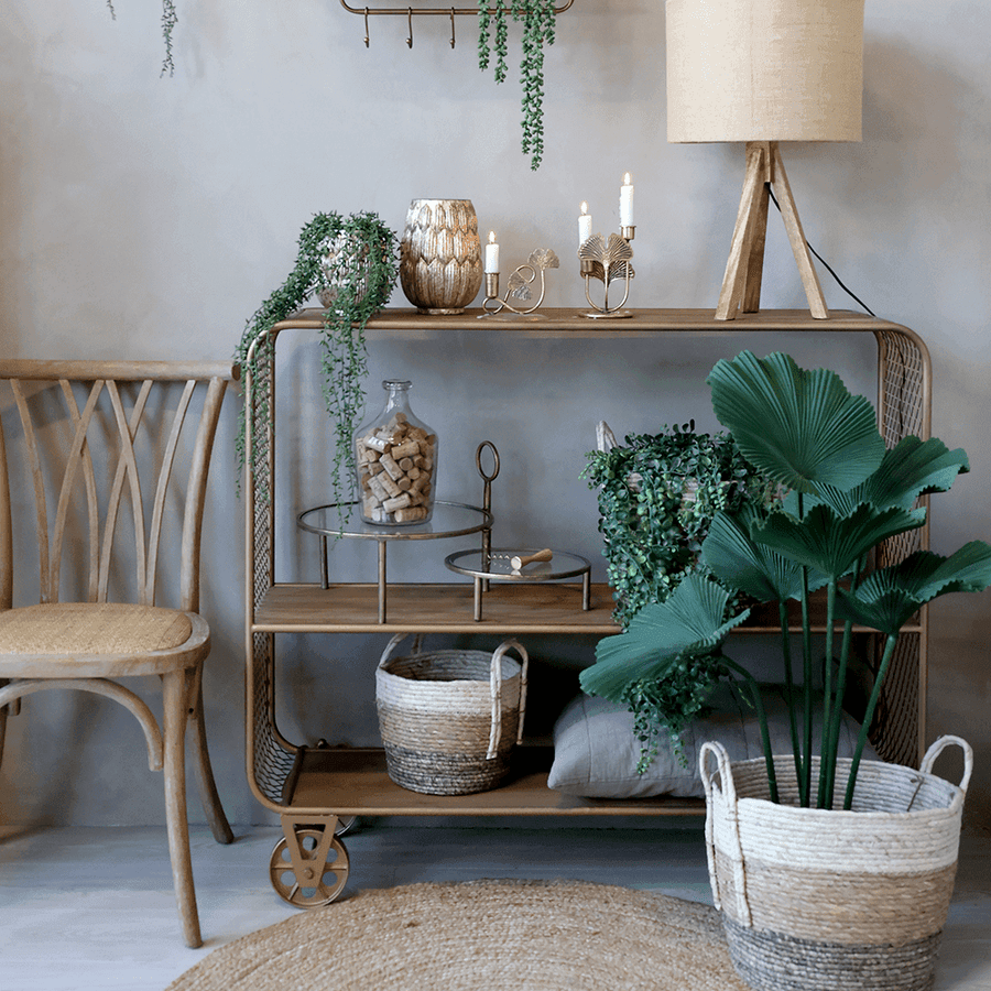 Hangulatos dekorációs összeállítás zöld növényekkel és az Old French étkezőszékkel.