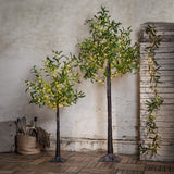 LED-es olíva girland mű olajfára tekerve beltéri dekorációként