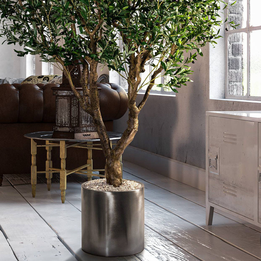 Mű olajfa loft lakásban.