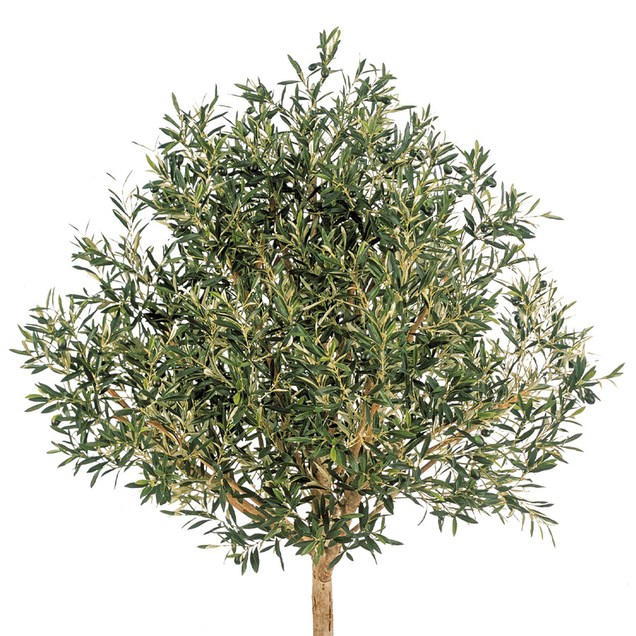 OLEA zöld mű olajfa részletes nézet, élethű olajfalevelekkel és természetes megjelenésű ágakkal.