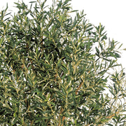 OLEA mű olajfa levelei és apró olajbogyói közelről, realisztikus zöld árnyalatokkal és természetes textúrával.