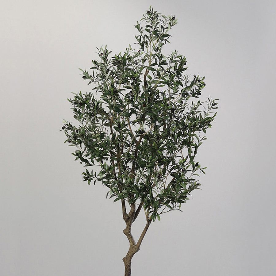 Élethű mű olajfa részletfotó sűrű zöld levelekkel és fekete olajbogyókkal.