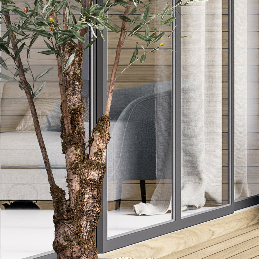 Göcsörtös törzsű, mediterrán stílusú mű olajfa részletfotó.