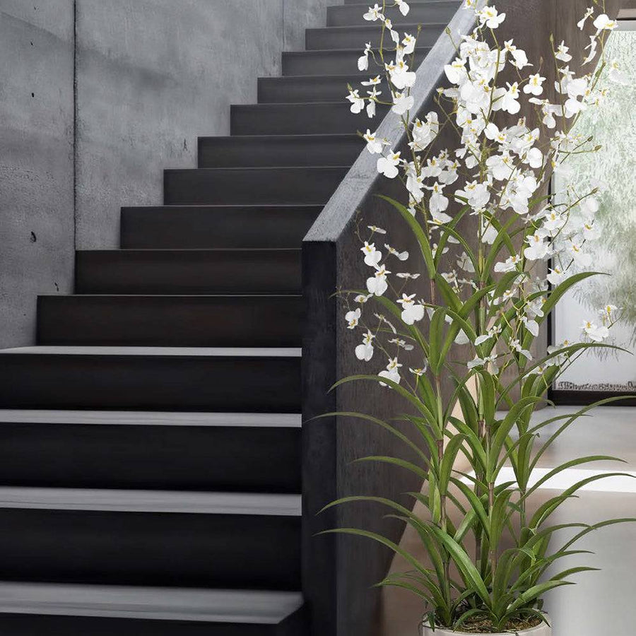 Élethű Oncidium orchidea hófehér virágokkal közelről