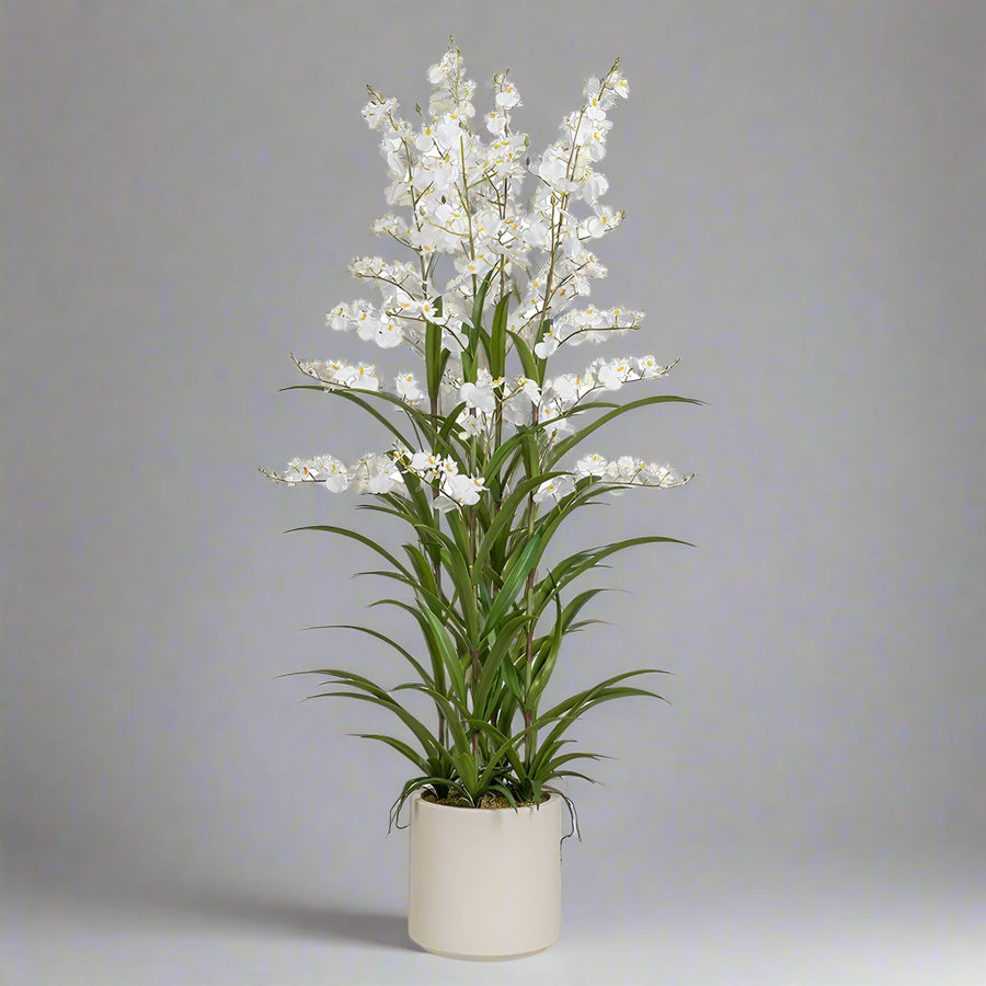 ONCIDIUM fehér mű orchidea 129 cm magas kaspóban, teljes látvány