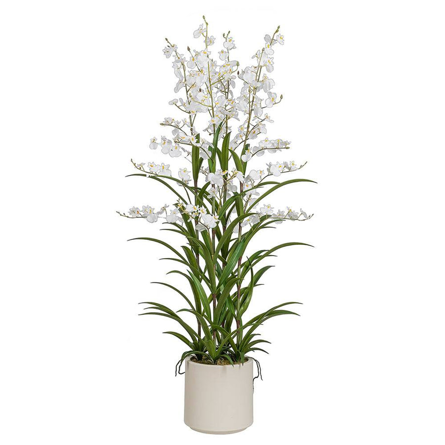 ONCIDIUM fehér mű orchidea 129 cm magas kaspóban, teljes látvány