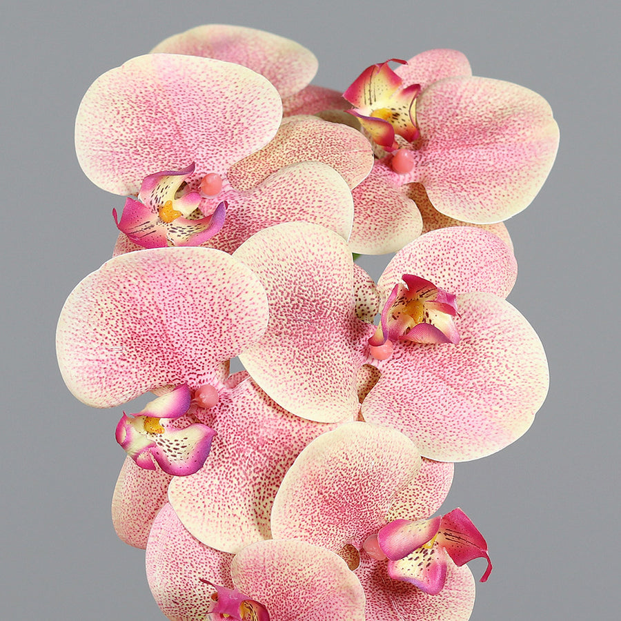 Élethű, barack árnyalatú mű orchidea virág részlet.