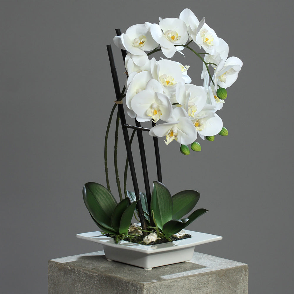 Real Touch fehér mű orchidea elegáns szürke, lapos kerámia kaspóban