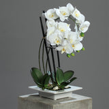 Real Touch fehér mű orchidea elegáns szürke, lapos kerámia kaspóban