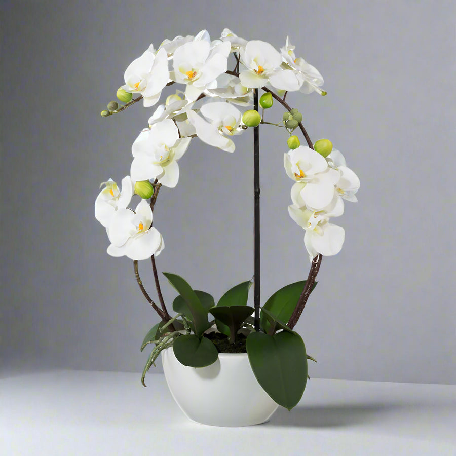 Modern kerámia kaspóban elhelyezett fehér mű orchidea