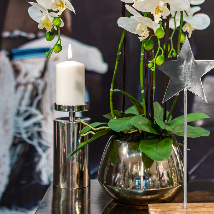 Fényes ezüst kaspóban elhelyezett fehér mű orchidea levelekkel és gyökerekkel.