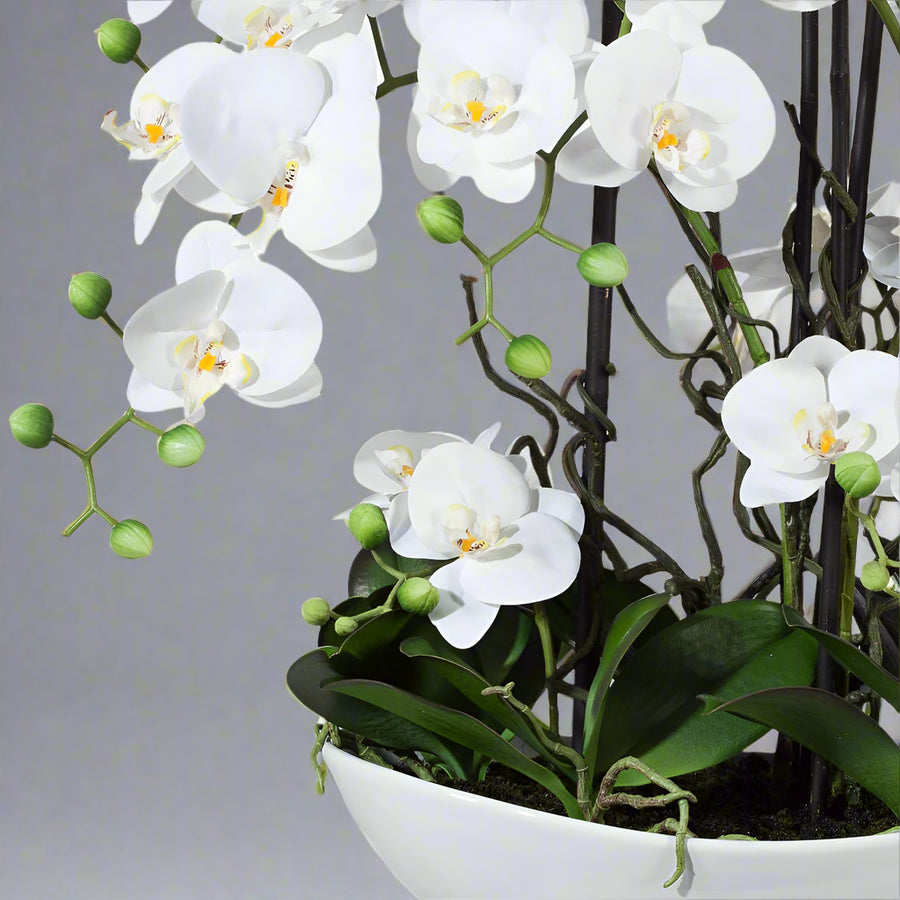 Real Touch fehér mű orchidea dús levelekkel és kerámia kaspóban