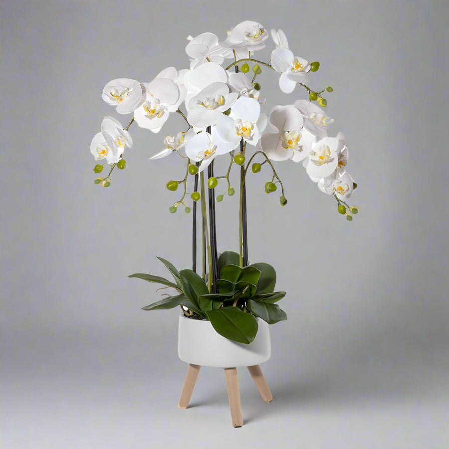 Dekoratív fehér mű orchidea kaspóban az Orchid kollekcióból