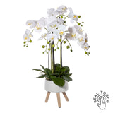 Fehér mű orchidea 75 cm magas, három lábú kerámia kaspóban