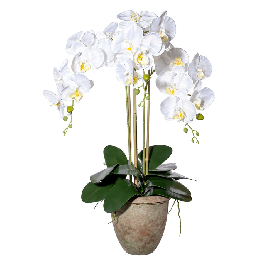 Fehér, 75 cm magas mű orchidea terrakotta kaspóban.