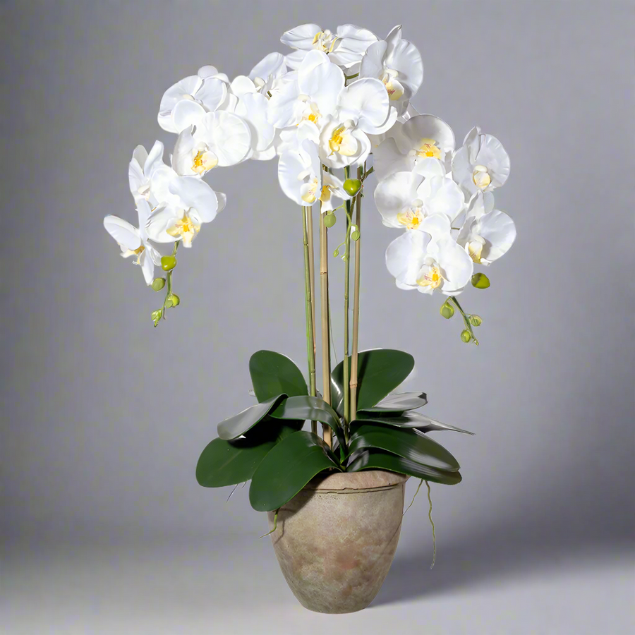 Fehér, 75 cm magas mű orchidea terrakotta kaspóban.