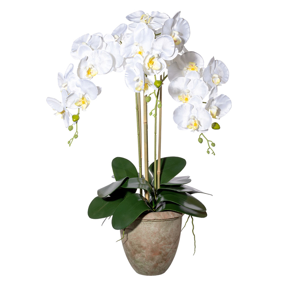 Fehér, 75 cm magas mű orchidea terrakotta kaspóban.