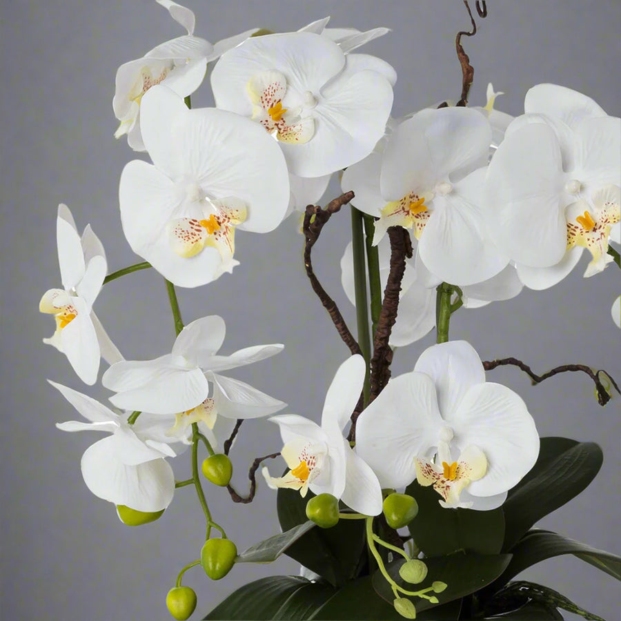 Fehér színű, mű orchidea, ezüstszínű kerámia kaspóban.