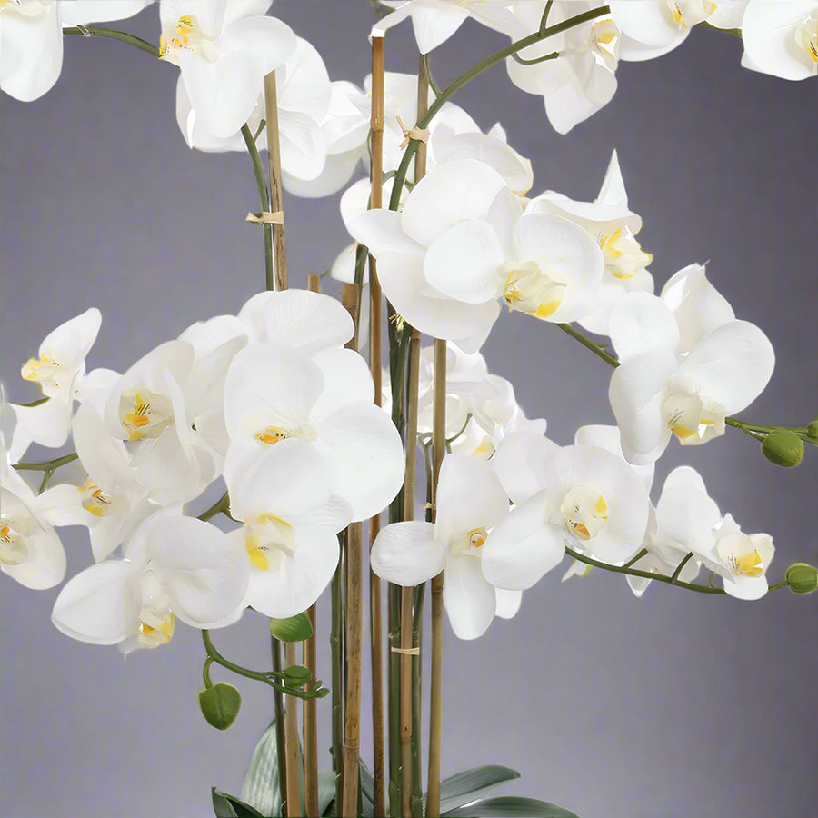 Közeli kép a Real Touch mű orchidea virágfejeiről, sárgászöld szirmokkal és részletgazdag kidolgozással.