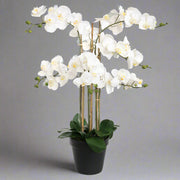Teljes alakos kép a fehér cserepes Real Touch mű orchideáról, természetes hatású virágokkal és levelekkel.