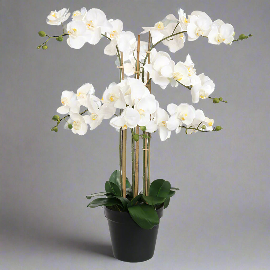 Teljes alakos kép a fehér cserepes Real Touch mű orchideáról, természetes hatású virágokkal és levelekkel.