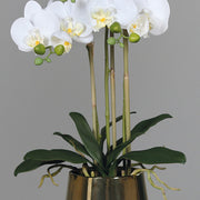 ORCHID fehér mű orchidea 64 cm luxus dekoráció arany kaspóban