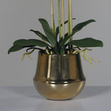 Élethű fehér orchidea elegáns aranyszínű kaspóban, modern stílusban