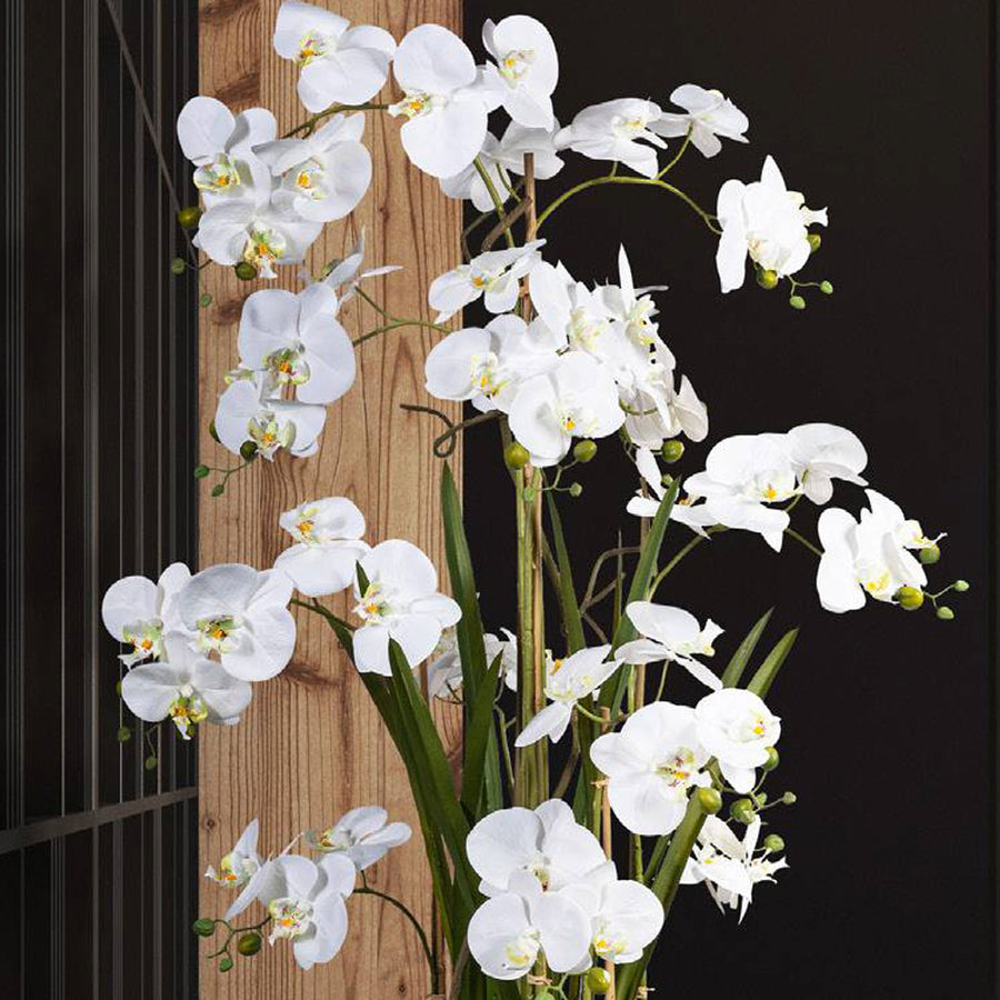 Élethű mű orchidea 14 levéllel és hófehér virágokkal közelről
