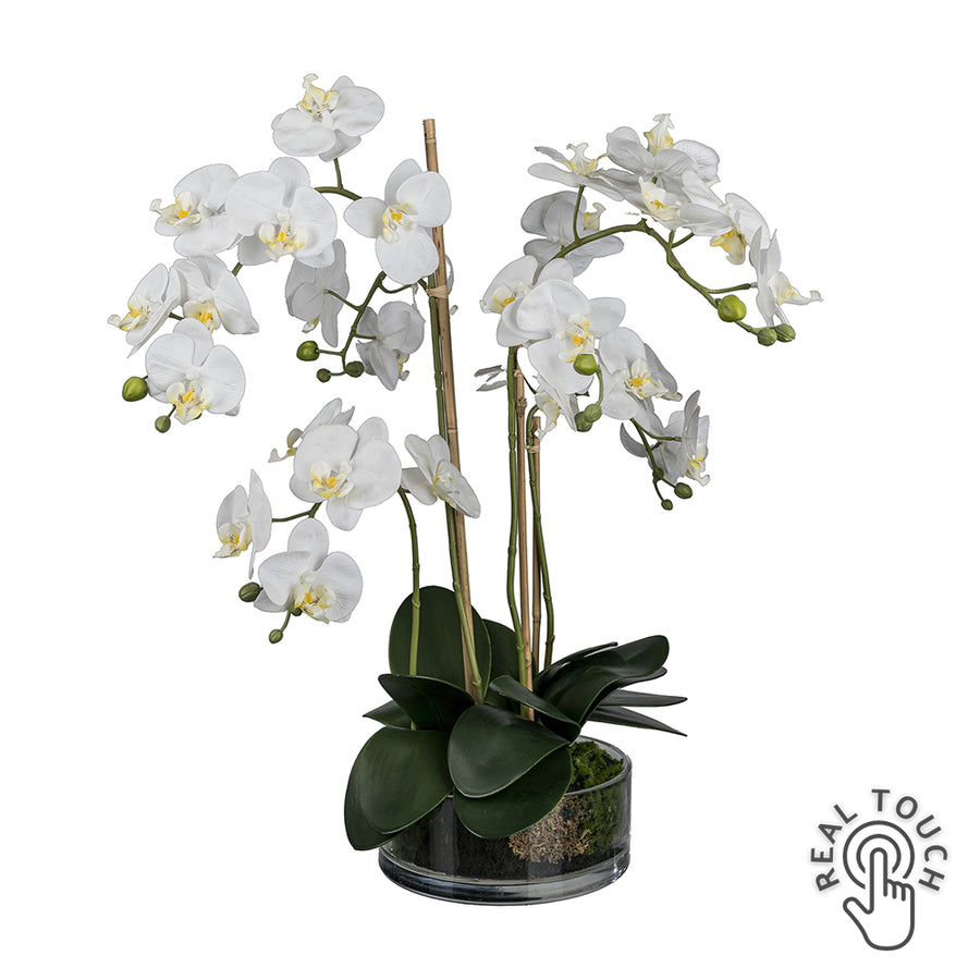 50 cm magas fehér mű orchidea Real Touch virágokkal üveg tégelyben.