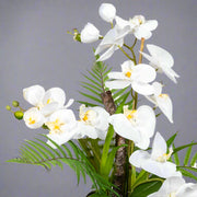 Részletfotó a Real Touch fehér orchidea virágairól és zöld leveleiről.