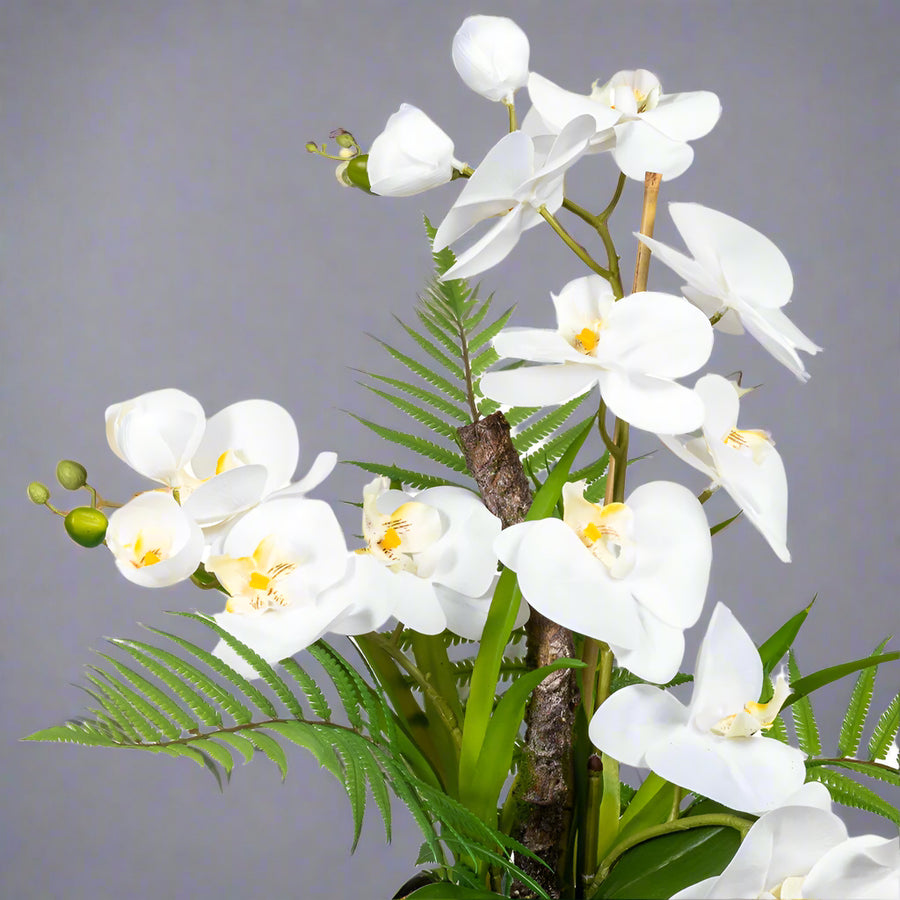 Részletfotó a Real Touch fehér orchidea virágairól és zöld leveleiről.