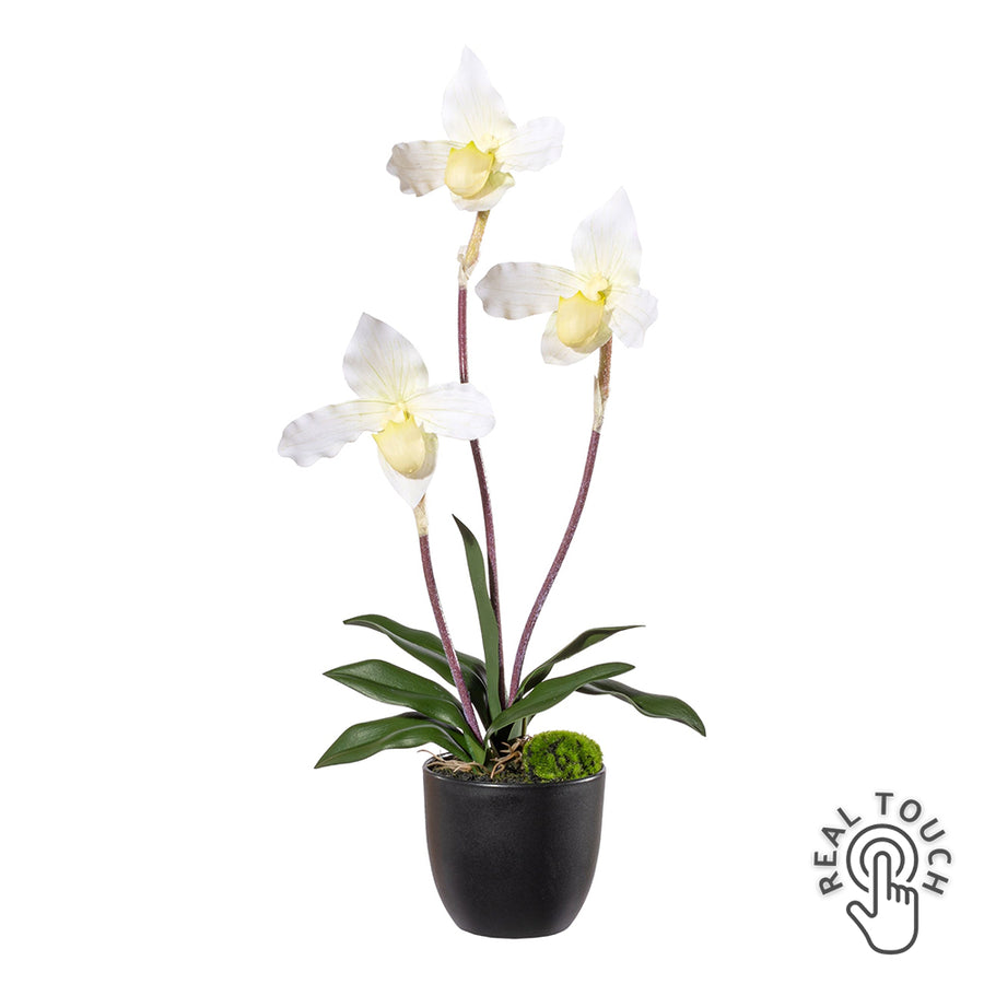45 cm magas fehér mű papucsorchidea Real Touch virágokkal fekete kaspóban.